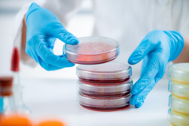 Microbiology bacteria laboratory work hands of a microbiologist working in a research facility