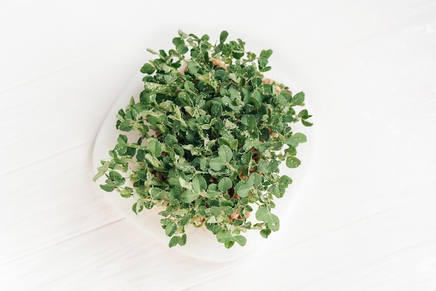 Microgreen の葉の背景エンドウ豆の葉もやし野菜リネン マットに高品質の有機植物の種子から発芽