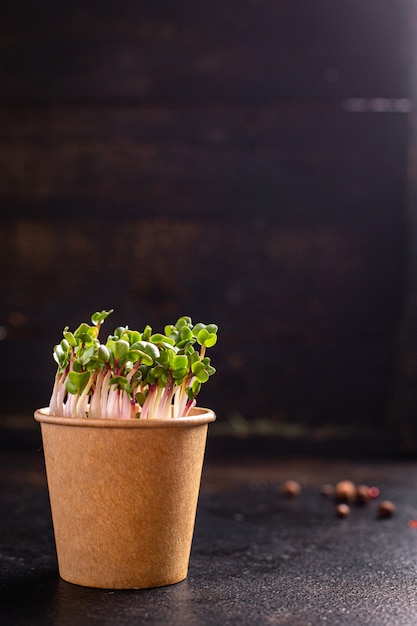 Microgreen fresh radish green petals seedlings raw food fresh ready to eat meal snack on the table