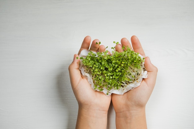 여자 손에 Microgreen. 생 콩나물, 마이크로 그린, 건강한 식생활 개념