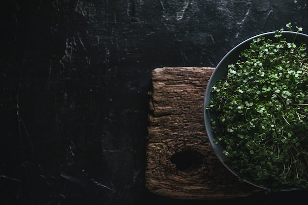 Microgreen in a gray dish on a wooden rustic
