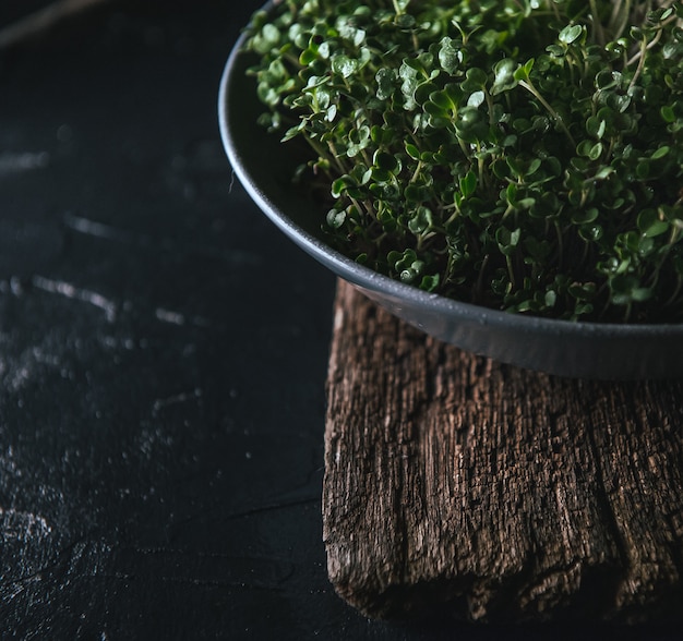 Microgreen in a gray dish on a wooden rustic