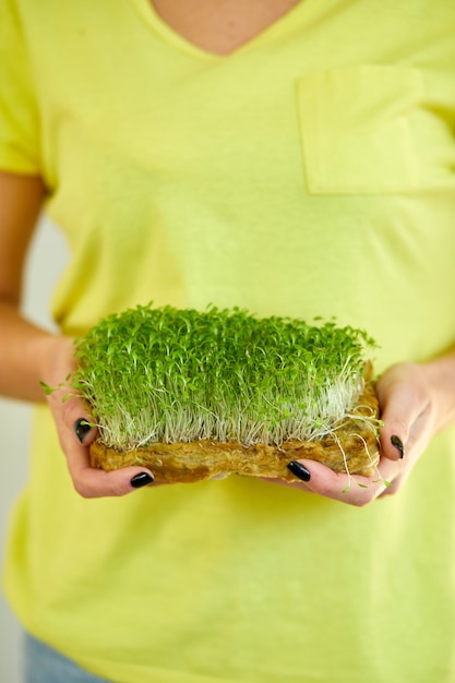 Microgreen in vrouwelijke handen