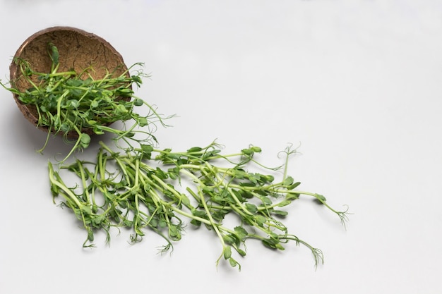 Foto microgreen germogli di pisello su tavola