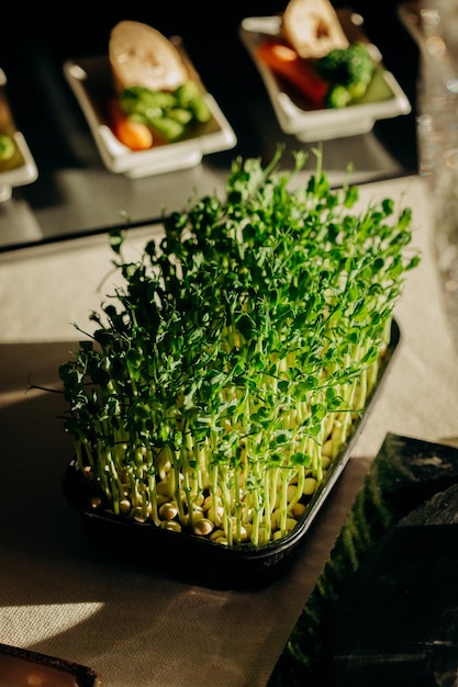 Foto piselli microgreen in piedi sul tavolo del buffet del catering