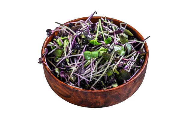 흰색 배경에 고립 된 나무 그릇에 Microgreen 무 유채과 야채 콩나물