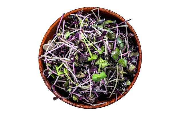 흰색 배경에 고립 된 나무 그릇에 Microgreen 무 유채과 야채 콩나물