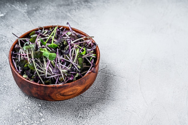 Germogli di crescione ravanello microgreen in una ciotola di legno