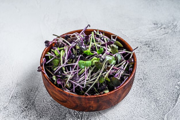 Microgreen radish cress sprouts in a wooden bowl