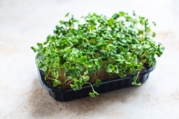Photo microgreen radish fresh herbs for salad and cooking snack