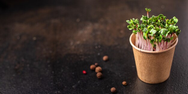 Microgreen ravanello crudo mangiare petali verdi piantine fresche cibo crudo snack fresco pronto da mangiare pasto