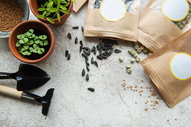 Microgreen seeds in paper bags and microgreen sowing equipment on the table Healthy food