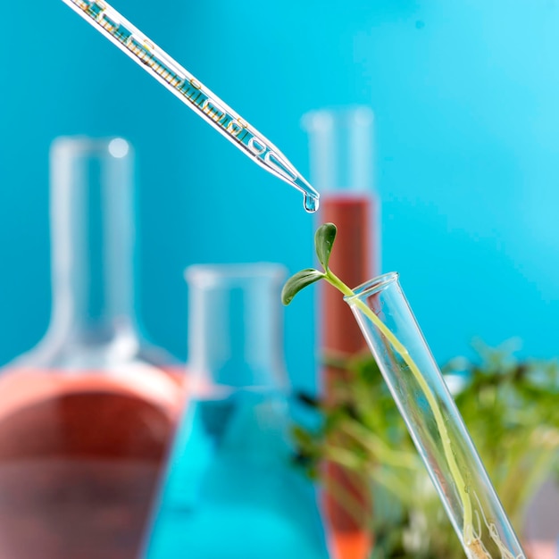 Foto germoglio di microgreen in una provetta chimica ricerca sulle proprietà benefiche dei microgreens