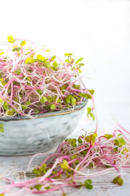 Microgreen. sprouts of radish in gray bowl