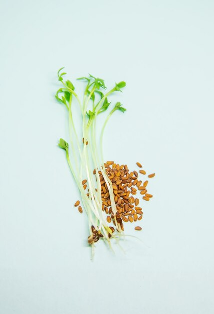 Microgreen spruiten waterkerssla op een witte en gele achtergrond als achtergrond. Selectieve aandacht. voedsel