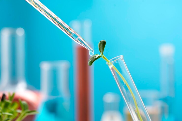 Microgreenkiem in een chemische reageerbuis Onderzoek naar de gunstige eigenschappen van microgreens