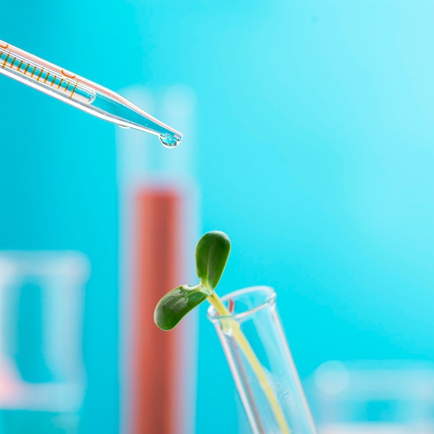 Microgreenkiem in een chemische reageerbuis Onderzoek naar de gunstige eigenschappen van microgreens