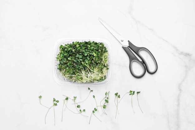 Microgreens bowl on white marble. superfood concept