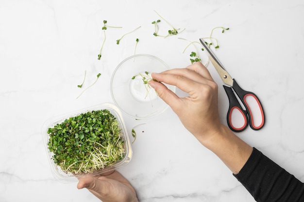 Microgreens bowl with hands and scissors