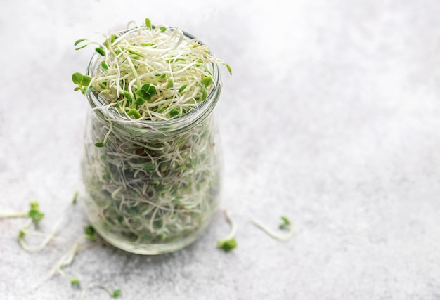 Microgreens grown in a jar