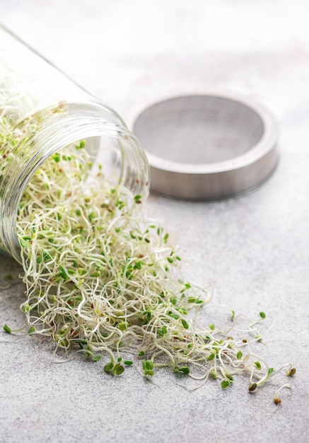 Microgreens grown in a jar