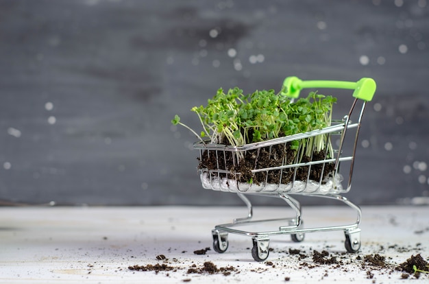 Microgreens in de winkelwagen