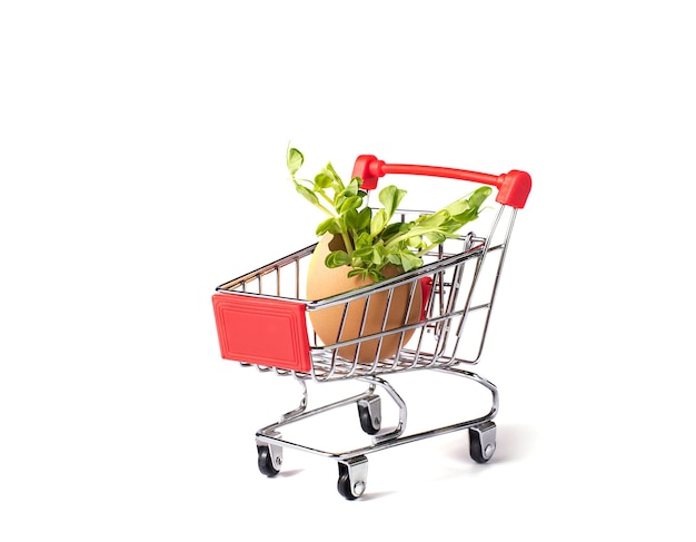 Microgreens in winkelwagen geïsoleerd op wit micro greens te koop