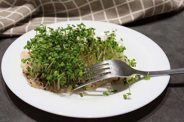 Фото Микрозелень на тарелке с вилкой концепция здорового питания здоровое питание прорастание микрозелени проращивание семян дома концепция веганского и здорового питания