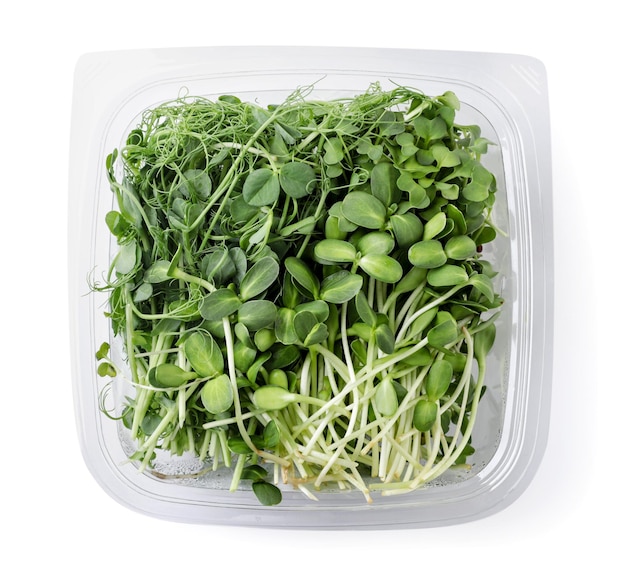 Microgreens in the package on a white background isolated Top view