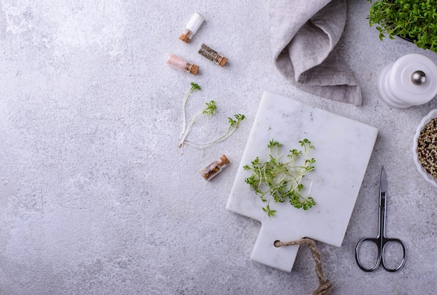 Microgreens sprouts of watercress salad