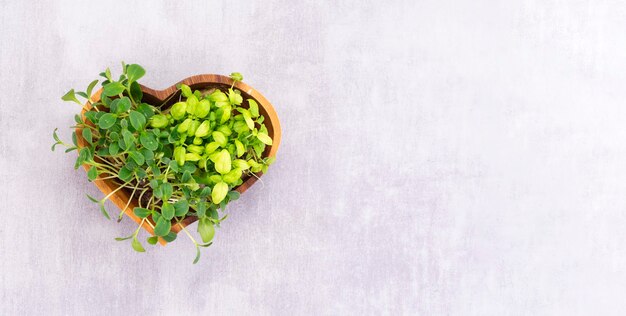 Microgreens in un piatto di legno a forma di cuore sul tavolo, concetto di cibo sano.