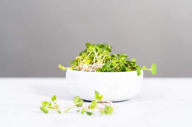 Microgreens