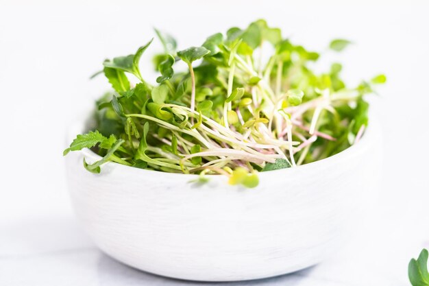 Microgreens