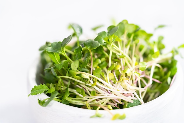 Microgreens