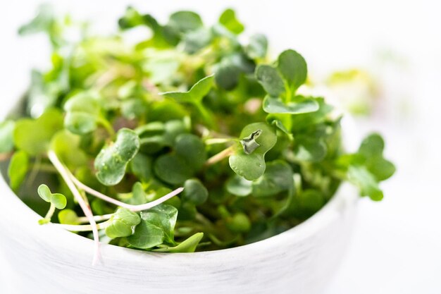 Microgreens