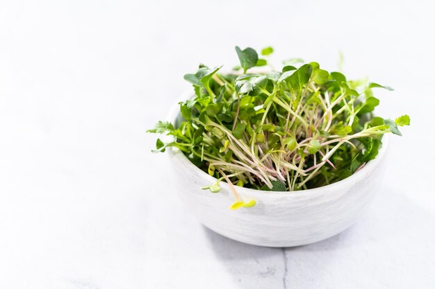 Microgreens