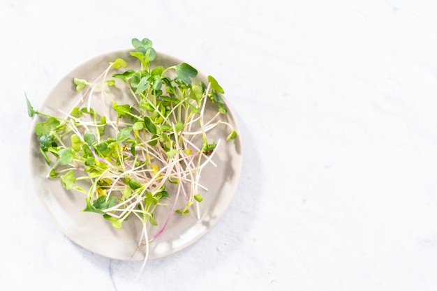 Microgreens