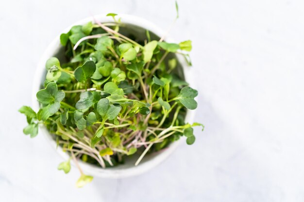 Microgreens