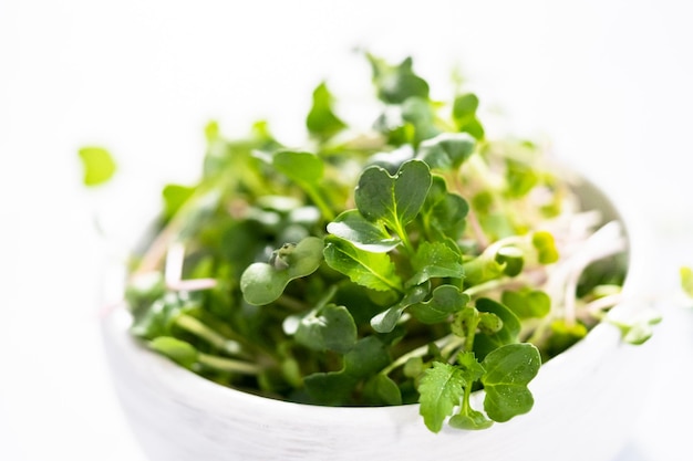 Microgreens