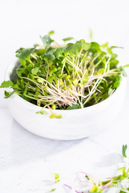 Microgreens