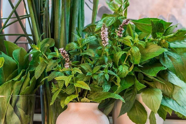 Foto microgroen kweken voor voedsel verse kruiden gezond voedsel vegetarisch