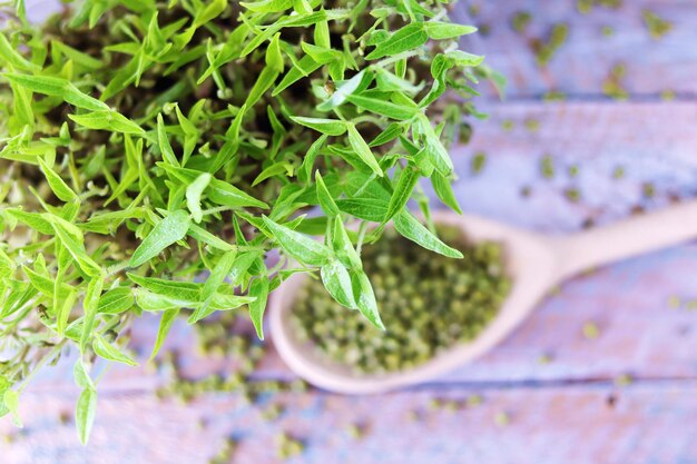 Microgroenten, granen en gekiemde taugé op een houten tafel, nuttige biologische planten