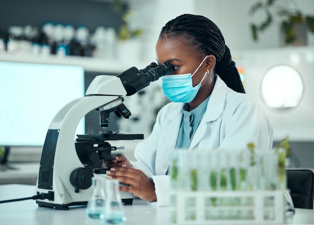 Microscope medical and female scientist with a face mask in pharmaceutical lab for virus analysis Professional science and African woman researcher working on breakthrough research with equipment
