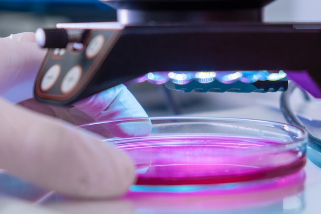 Photo microscope in a medical research center for analyzing sample scientist in rubber gloves testing samp