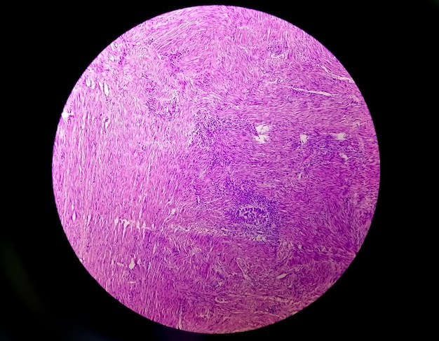 Microscopic view of histological or cytological slide