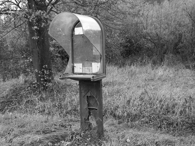 Foto uomo adulto nel parco