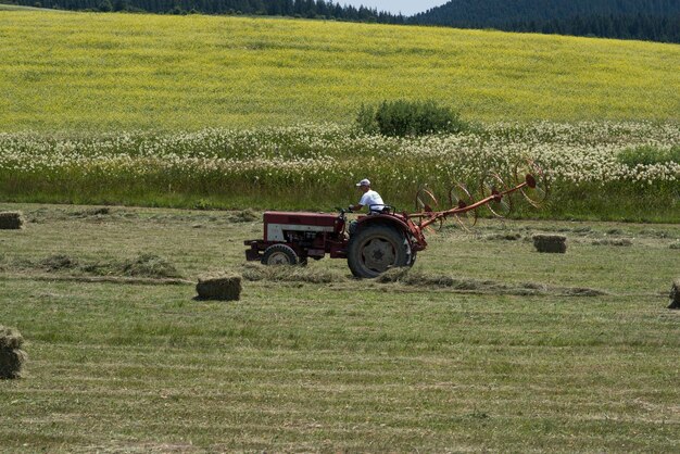 Фото Средний взрослый мужчина сидит на тракторе на ферме в солнечный день