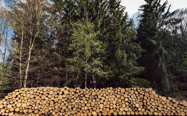 Foto vista a mezza distanza di un uomo in piedi su un mucchio di legna nella foresta