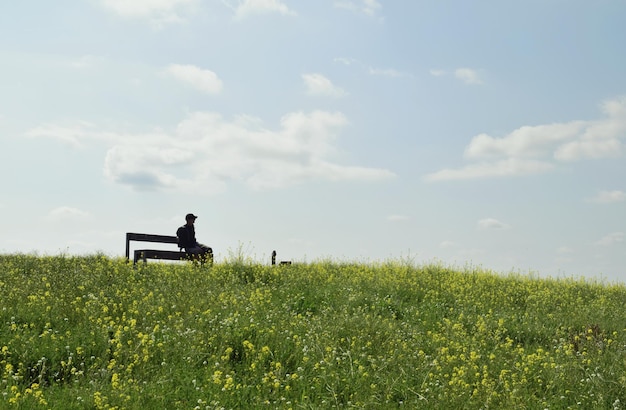 写真 植物の間でベンチに座っている男の中距離の景色