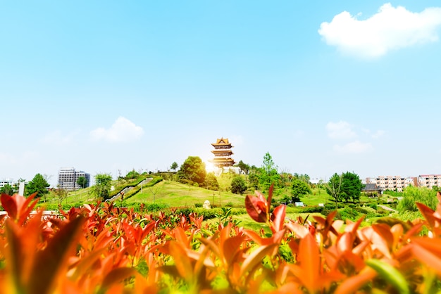 中湖のパビリオンと蓮の池。承徳山リゾートに位置。中国河北省承徳市に位置する大規模な宮殿と庭園の複合体です。